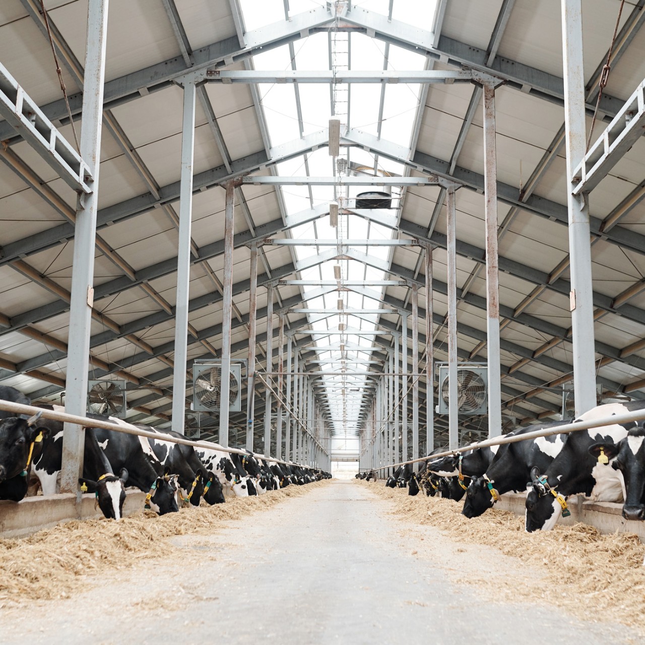 Agricultural Solutions Kingspan AU