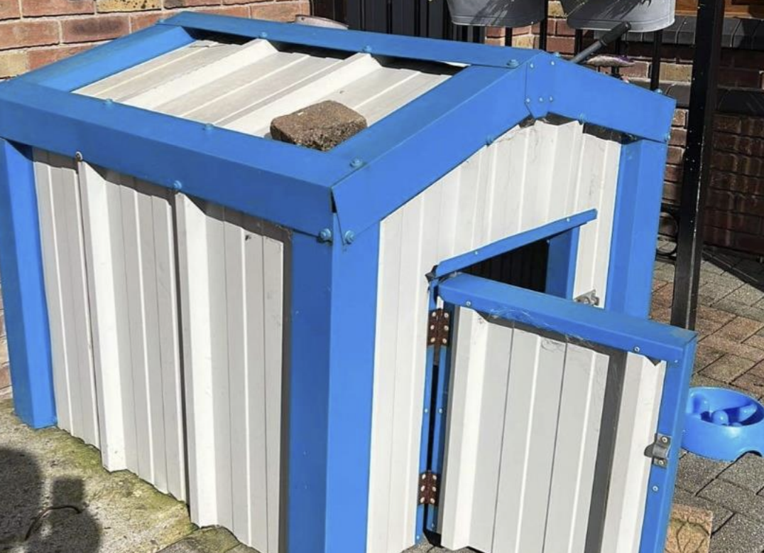 Kingspan insulated dog kennels top